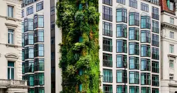 green trees in front of white concrete building during daytime