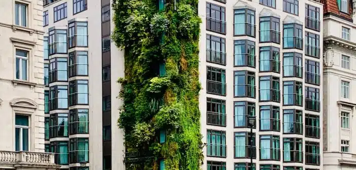 green trees in front of white concrete building during daytime