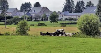 Immobilier et COVID 19 la revanche des villes de campagnes