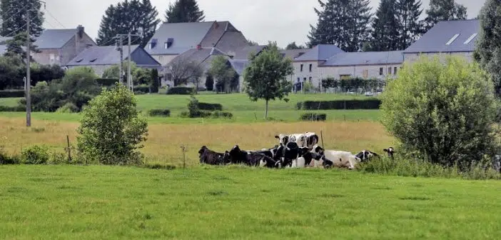 Immobilier et COVID 19 la revanche des villes de campagnes