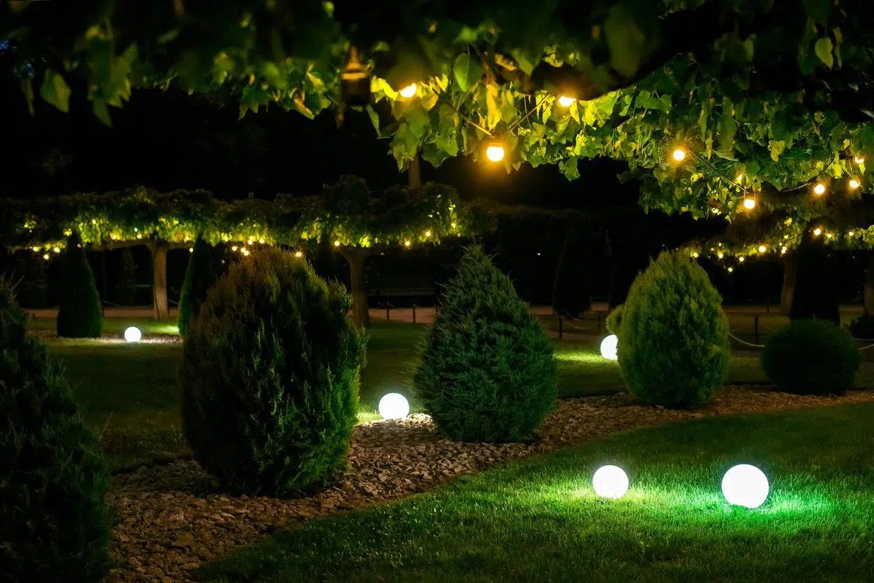 jardin de nuit avec luminaires