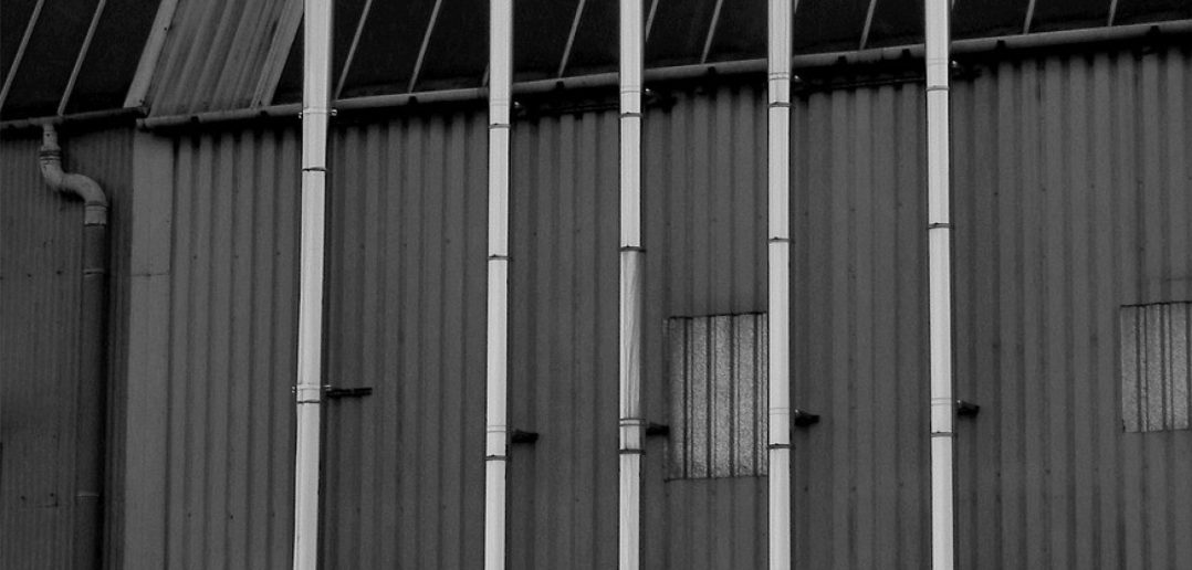 Pince à Poisson Savage Gear - Noire, 21.5 Cm, Légère Et étanche Pour Mer Et Rivière