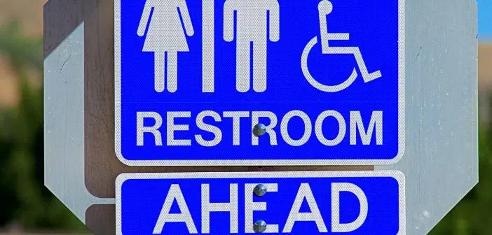 Tout savoir sur la location de WC de chantier