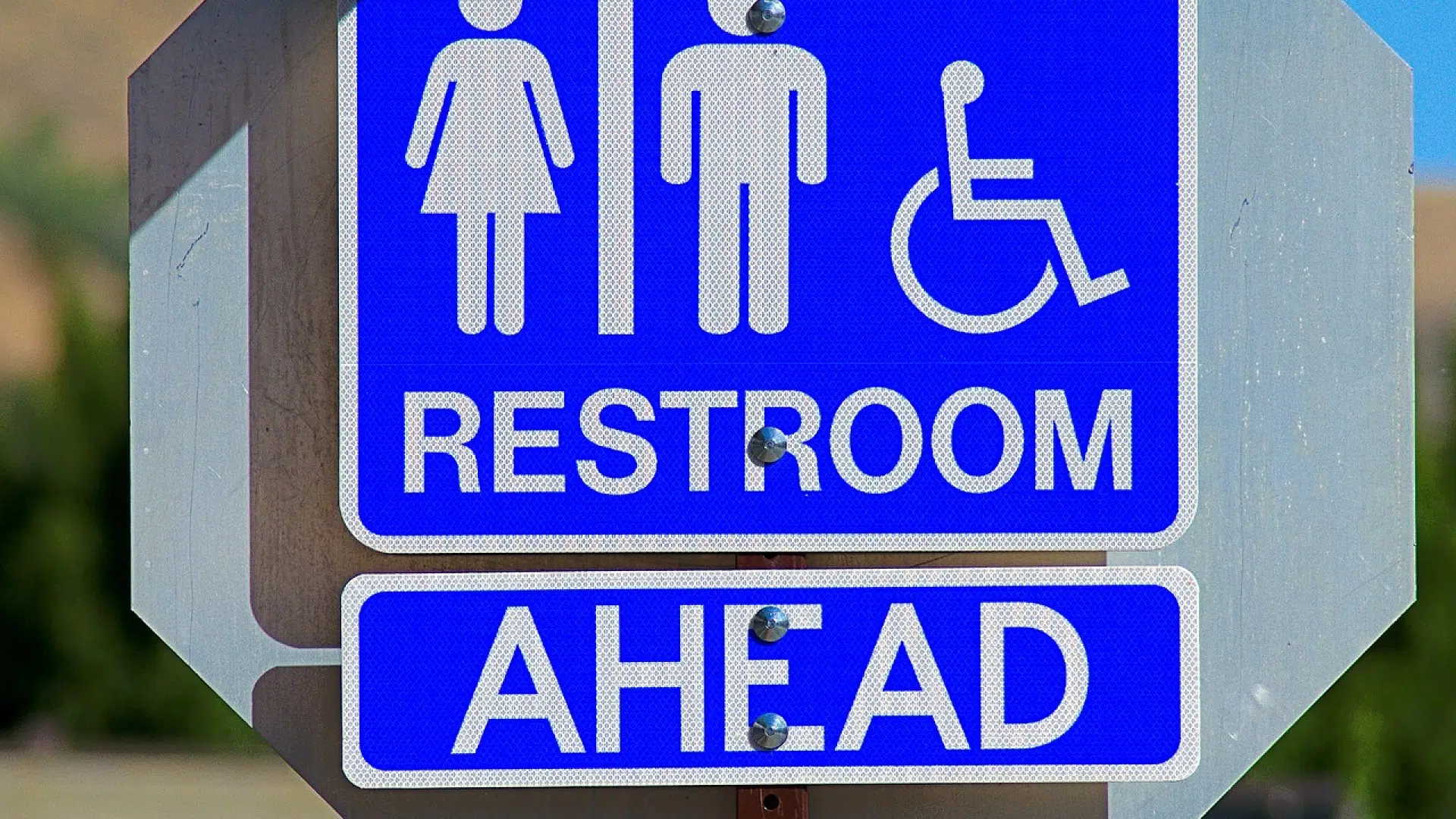 Tout savoir sur la location de WC de chantier